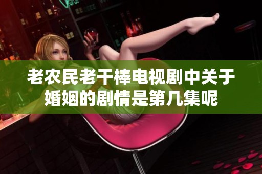 老农民老干棒电视剧中关于婚姻的剧情是第几集呢