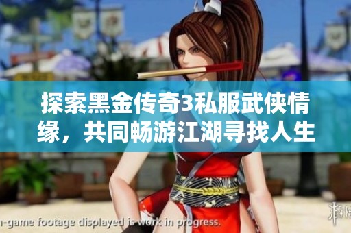 探索黑金传奇3私服武侠情缘，共同畅游江湖寻找人生伴侣