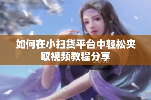 如何在小扫货平台中轻松夹取视频教程分享