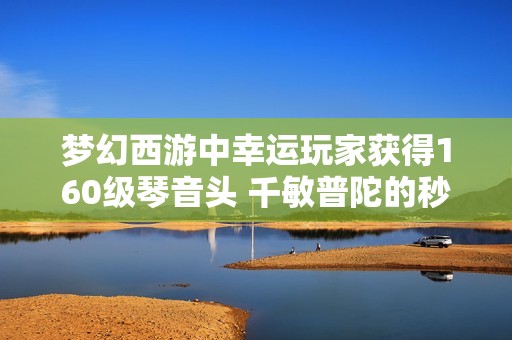 梦幻西游中幸运玩家获得160级琴音头 千敏普陀的秒杀能力揭秘