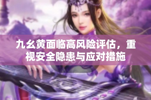 九幺黄面临高风险评估，重视安全隐患与应对措施