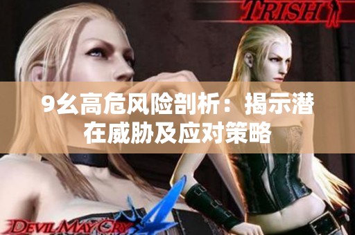 9幺高危风险剖析：揭示潜在威胁及应对策略