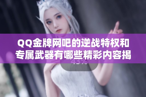 QQ金牌网吧的逆战特权和专属武器有哪些精彩内容揭秘