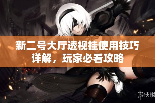 新二号大厅透视挂使用技巧详解，玩家必看攻略