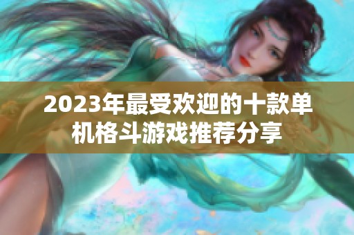 2023年最受欢迎的十款单机格斗游戏推荐分享
