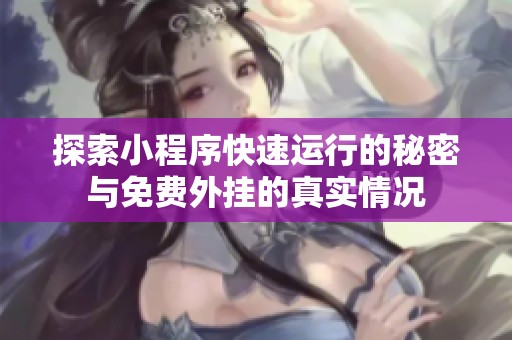 探索小程序快速运行的秘密与免费外挂的真实情况