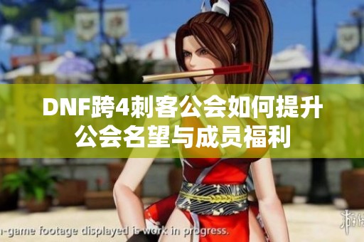 DNF跨4刺客公会如何提升公会名望与成员福利
