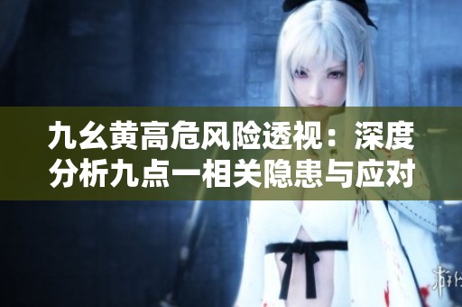 九幺黄高危风险透视：深度分析九点一相关隐患与应对策略