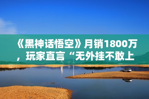 《黑神话悟空》月销1800万，玩家直言“无外挂不敢上线”背后的隐忧