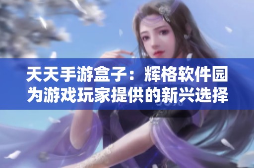 天天手游盒子：辉格软件园为游戏玩家提供的新兴选择