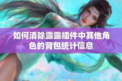 如何清除露露插件中其他角色的背包统计信息