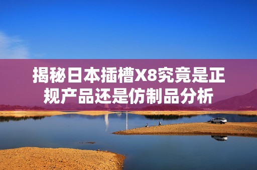 揭秘日本插槽X8究竟是正规产品还是仿制品分析