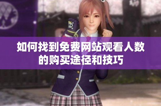 如何找到免费网站观看人数的购买途径和技巧