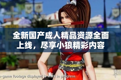 全新国产成人精品资源全面上线，尽享小狼精彩内容