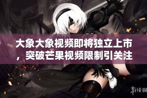 大象大象视频即将独立上市，突破芒果视频限制引关注