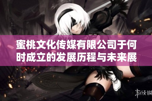 蜜桃文化传媒有限公司于何时成立的发展历程与未来展望