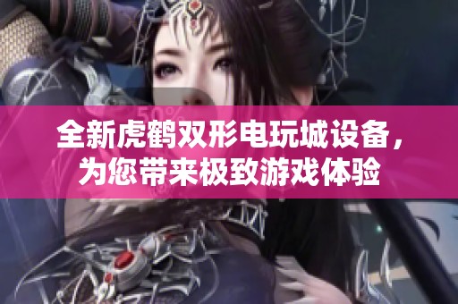 全新虎鹤双形电玩城设备，为您带来极致游戏体验
