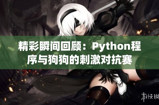 精彩瞬间回顾：Python程序与狗狗的刺激对抗赛