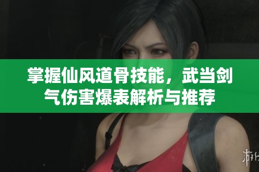 掌握仙风道骨技能，武当剑气伤害爆表解析与推荐