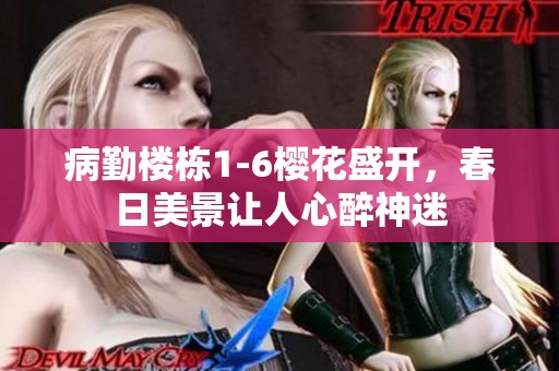病勤楼栋1-6樱花盛开，春日美景让人心醉神迷