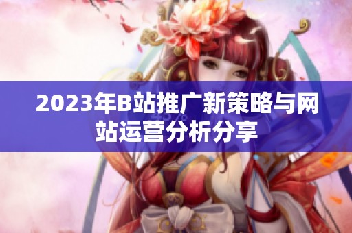 2023年B站推广新策略与网站运营分析分享