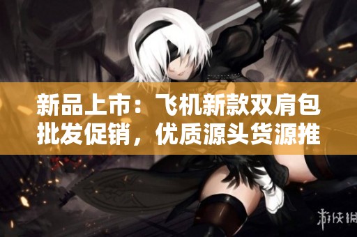 新品上市：飞机新款双肩包批发促销，优质源头货源推荐