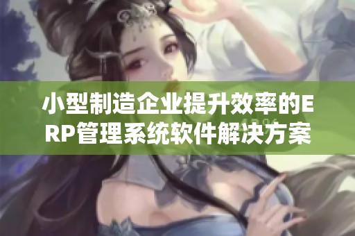 小型制造企业提升效率的ERP管理系统软件解决方案