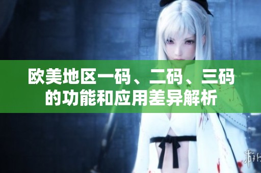 欧美地区一码、二码、三码的功能和应用差异解析