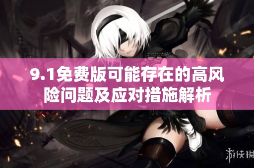 9.1免费版可能存在的高风险问题及应对措施解析