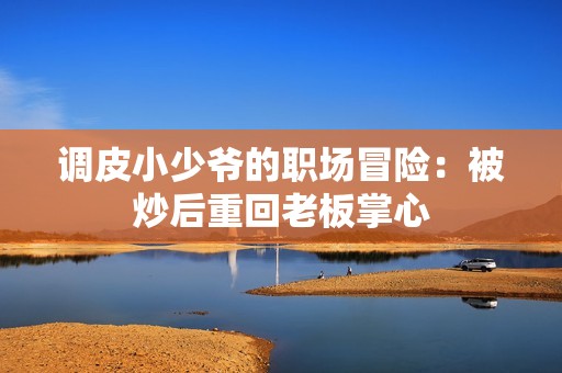 调皮小少爷的职场冒险：被炒后重回老板掌心