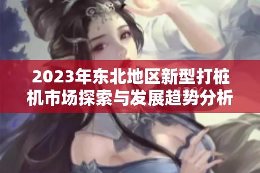 2023年东北地区新型打桩机市场探索与发展趋势分析