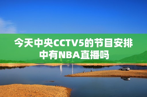 今天中央CCTV5的节目安排中有NBA直播吗