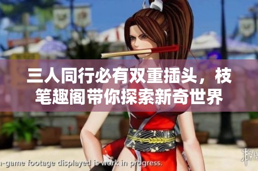 三人同行必有双重插头，枝笔趣阁带你探索新奇世界