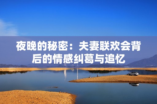 夜晚的秘密：夫妻联欢会背后的情感纠葛与追忆