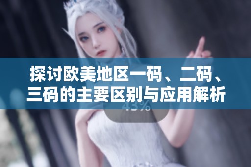 探讨欧美地区一码、二码、三码的主要区别与应用解析