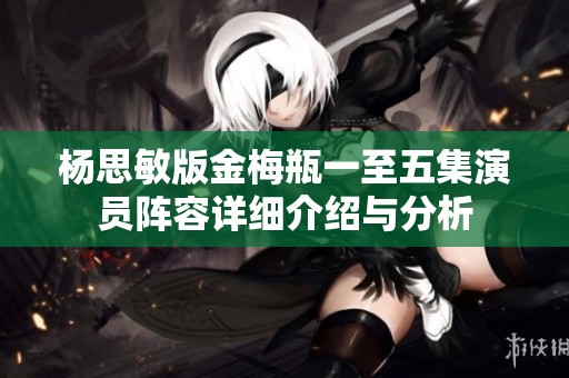 杨思敏版金梅瓶一至五集演员阵容详细介绍与分析