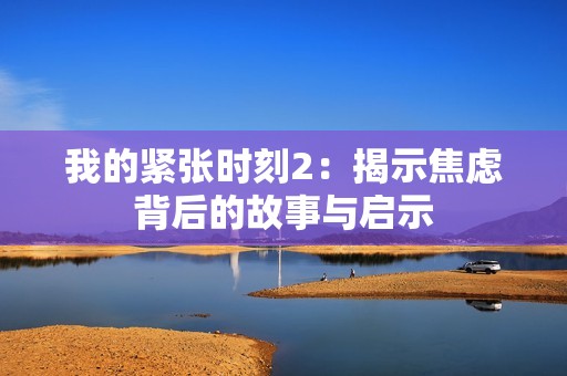 我的紧张时刻2：揭示焦虑背后的故事与启示