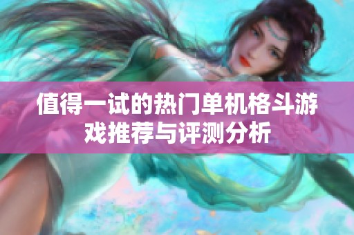 值得一试的热门单机格斗游戏推荐与评测分析