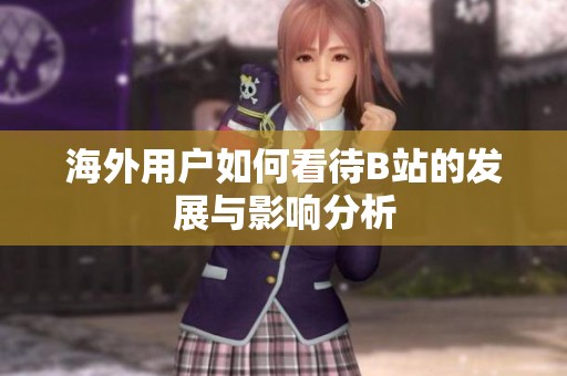 海外用户如何看待B站的发展与影响分析