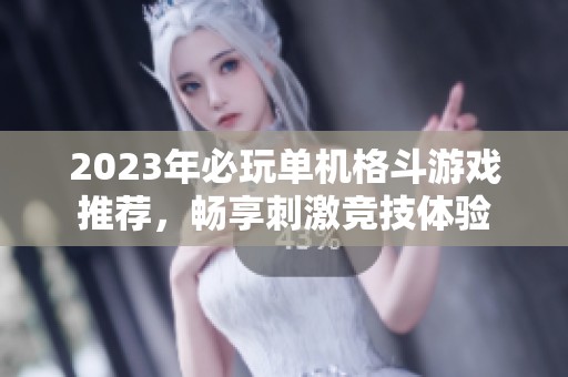 2023年必玩单机格斗游戏推荐，畅享刺激竞技体验