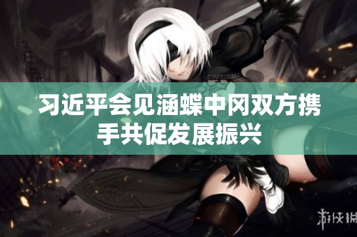 习近平会见涵蝶中冈双方携手共促发展振兴