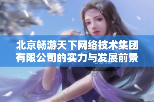 北京畅游天下网络技术集团有限公司的实力与发展前景分析
