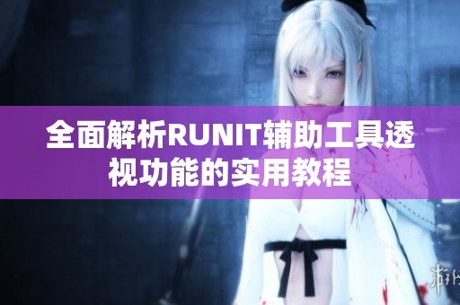 全面解析RUNIT辅助工具透视功能的实用教程