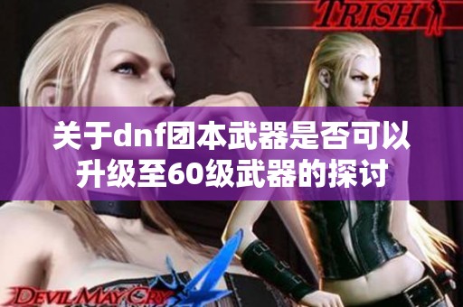 关于dnf团本武器是否可以升级至60级武器的探讨