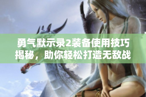 勇气默示录2装备使用技巧揭秘，助你轻松打造无敌战斗力