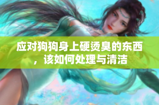 应对狗狗身上硬烫臭的东西，该如何处理与清洁