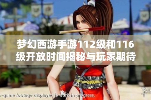 梦幻西游手游112级和116级开放时间揭秘与玩家期待分析