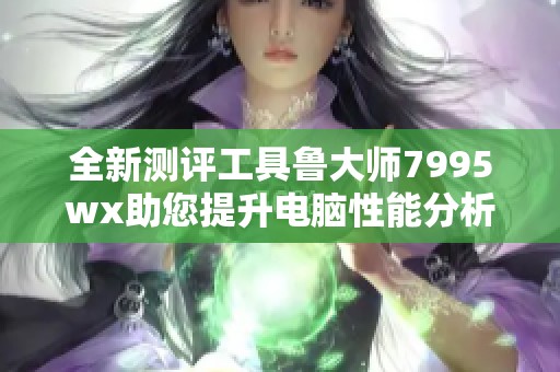全新测评工具鲁大师7995wx助您提升电脑性能分析