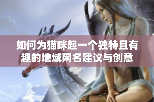 如何为猫咪起一个独特且有趣的地域网名建议与创意