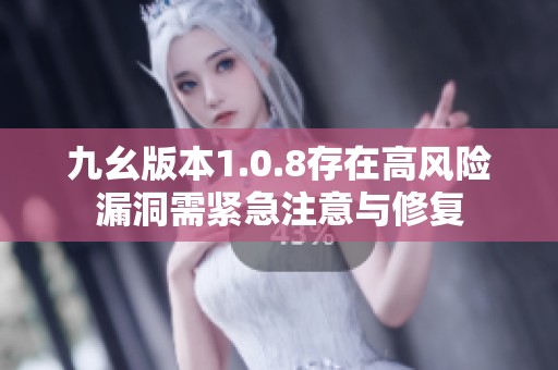 九幺版本1.0.8存在高风险漏洞需紧急注意与修复